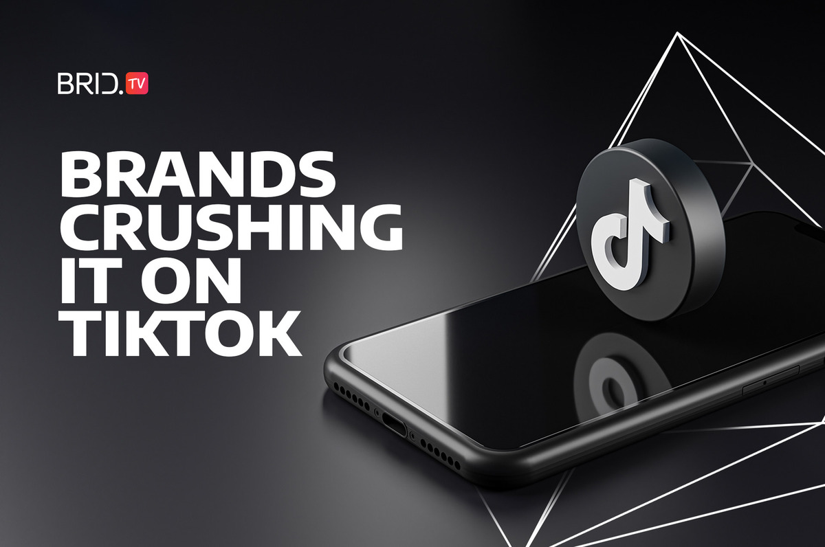 Brands that are crushing it on TikTok by BridTV