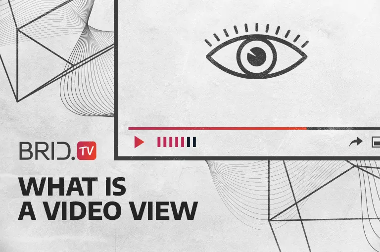 What is a video view by BridTV