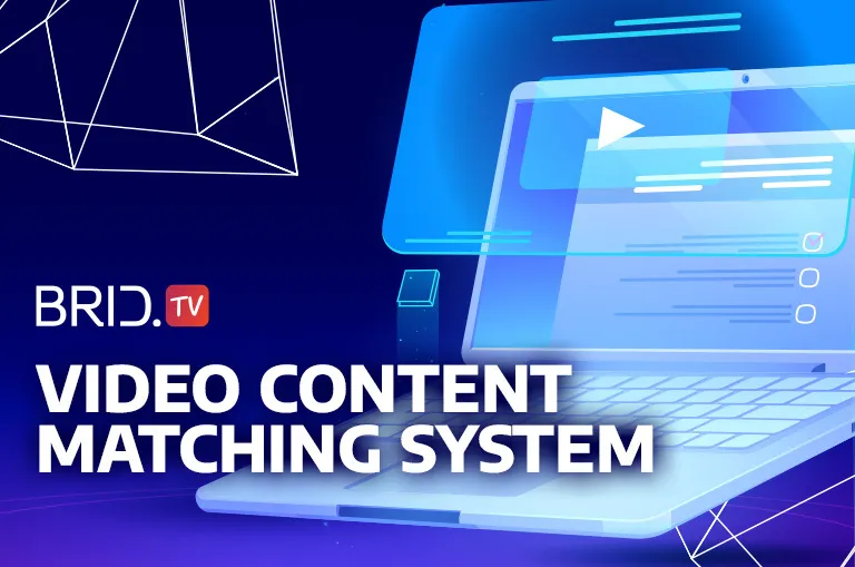 Video content matching at BridTV