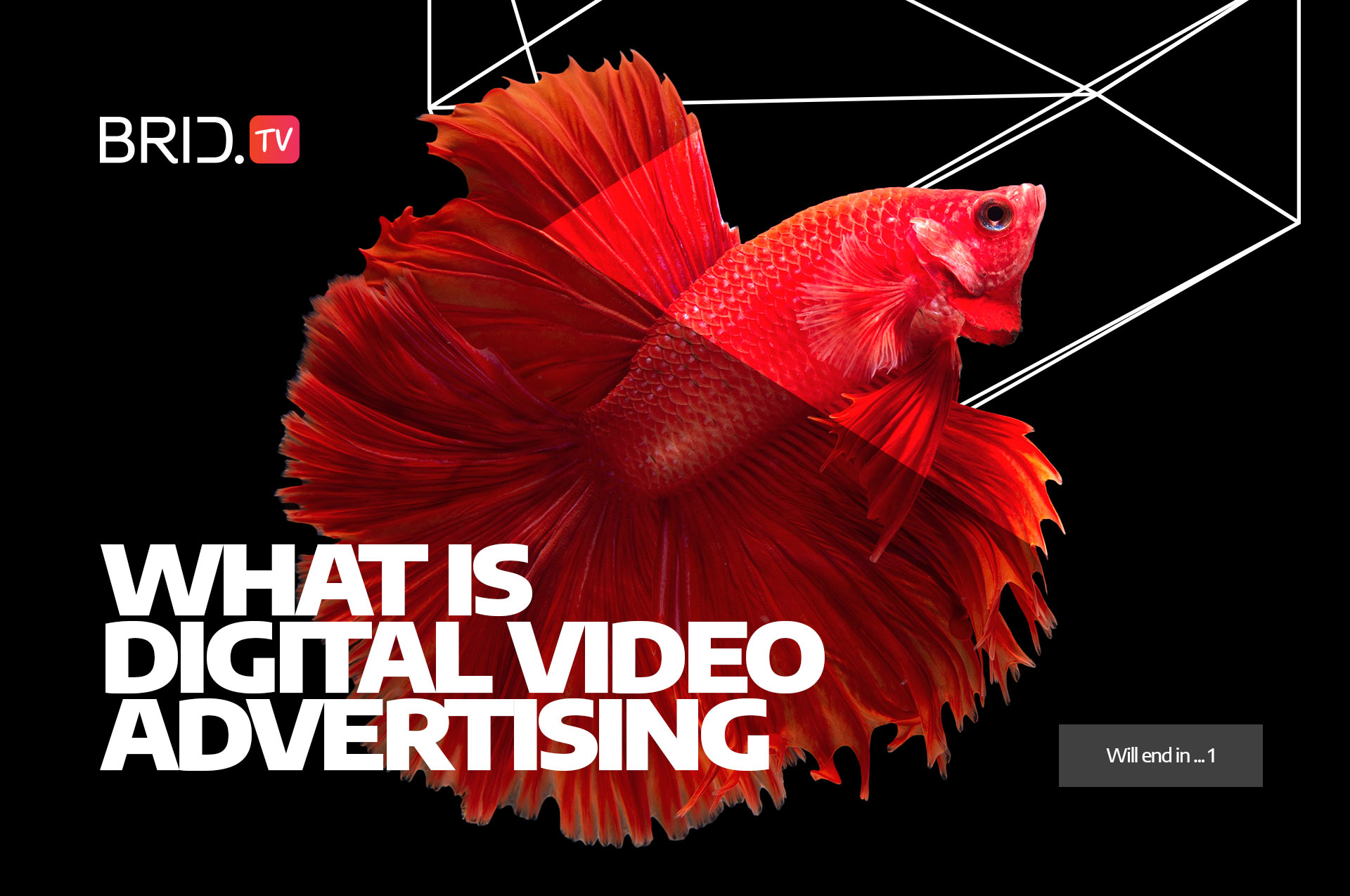 what is digital video advertising