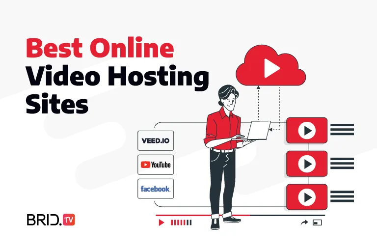 best video hosting sites by bridtv