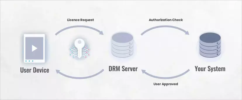 illustration of how the DRM encryption process works