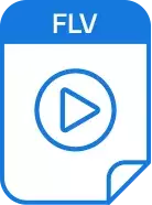flv video format image